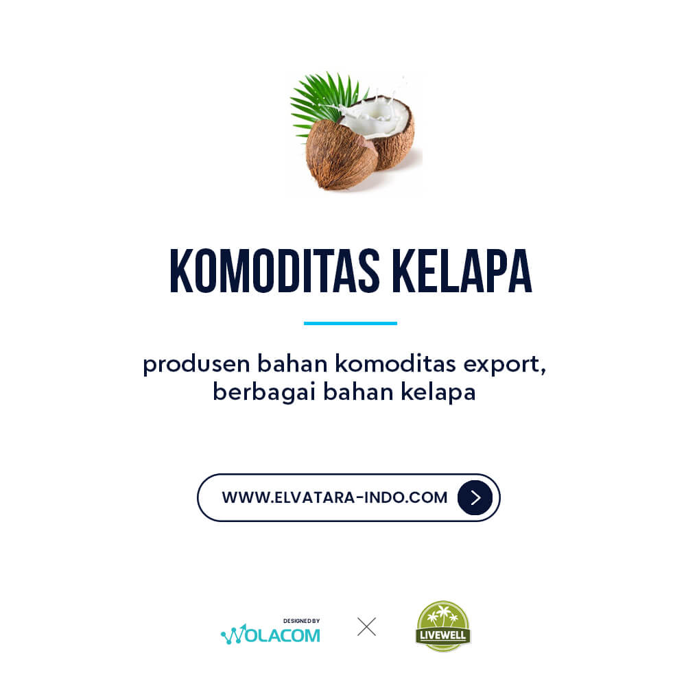 Your Reliable Coconut Supplier from Indonesia